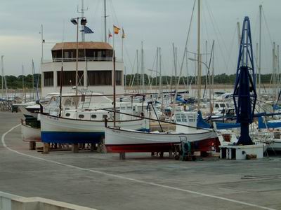 DSCF0048.JPG